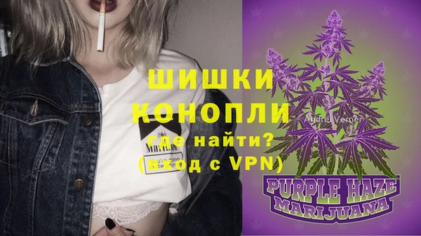 тгк Володарск